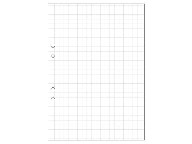 Lösblad A4 rutat 10x10mm hålat 500/fp